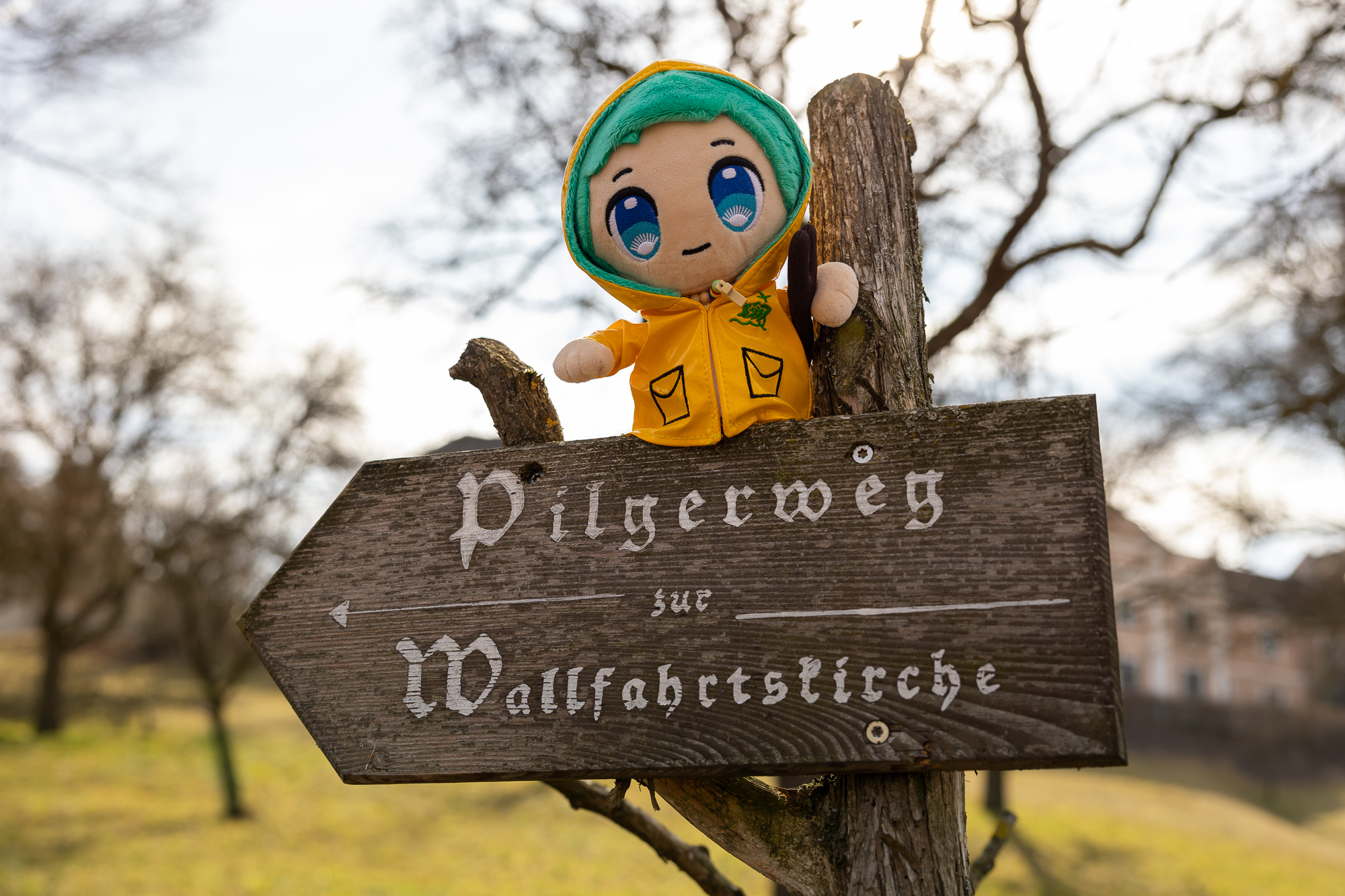 Diözese St. Pölten